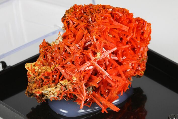 Bright Orange Crocoite Crystal Cluster - Tasmania #182659